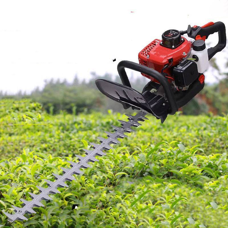 Two-punch Tea Picker Gasoline